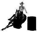 barrelracer.gif